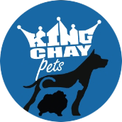 Main Logo