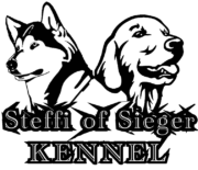 steffi-of-sieger-kennel