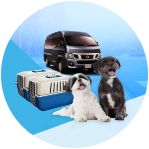 Local Pet Transport by Land/Ground