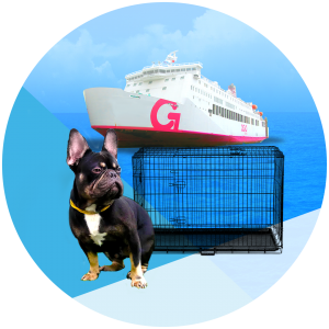 Local Pet Transport via Sea Vessel