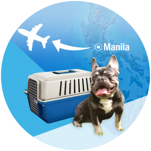 Pet Travel from PH – (Pet Export Services)