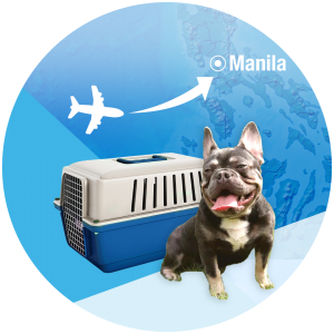 Pet Travel into PH – (Pet Import Services)